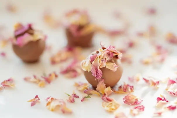 Cazino Chilli Spins Cazinou Aplicație Android/iOS